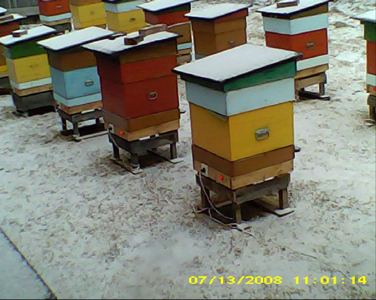 Подогрев пчел - Статьи по пчеловодству - Пчеловодство: оборудование и инвентарь.